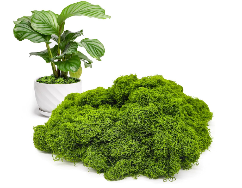 Fake Green Moss for Potted Plants Indoor, 5.3oz for Fairy Garden or Crafts, DIY