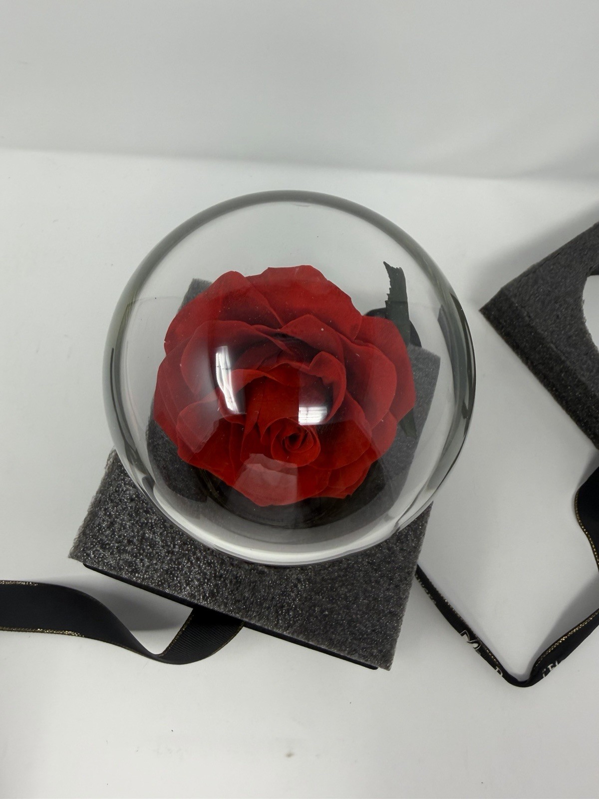 Forever Preserved Rose – Eternal Rose in Glass Dome – Beauty and the Beast Rose