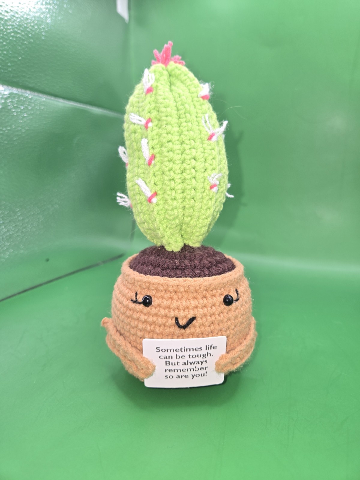 Handmade Crochet Emotional Support Cactus Succulent Plant W/ Positive Message