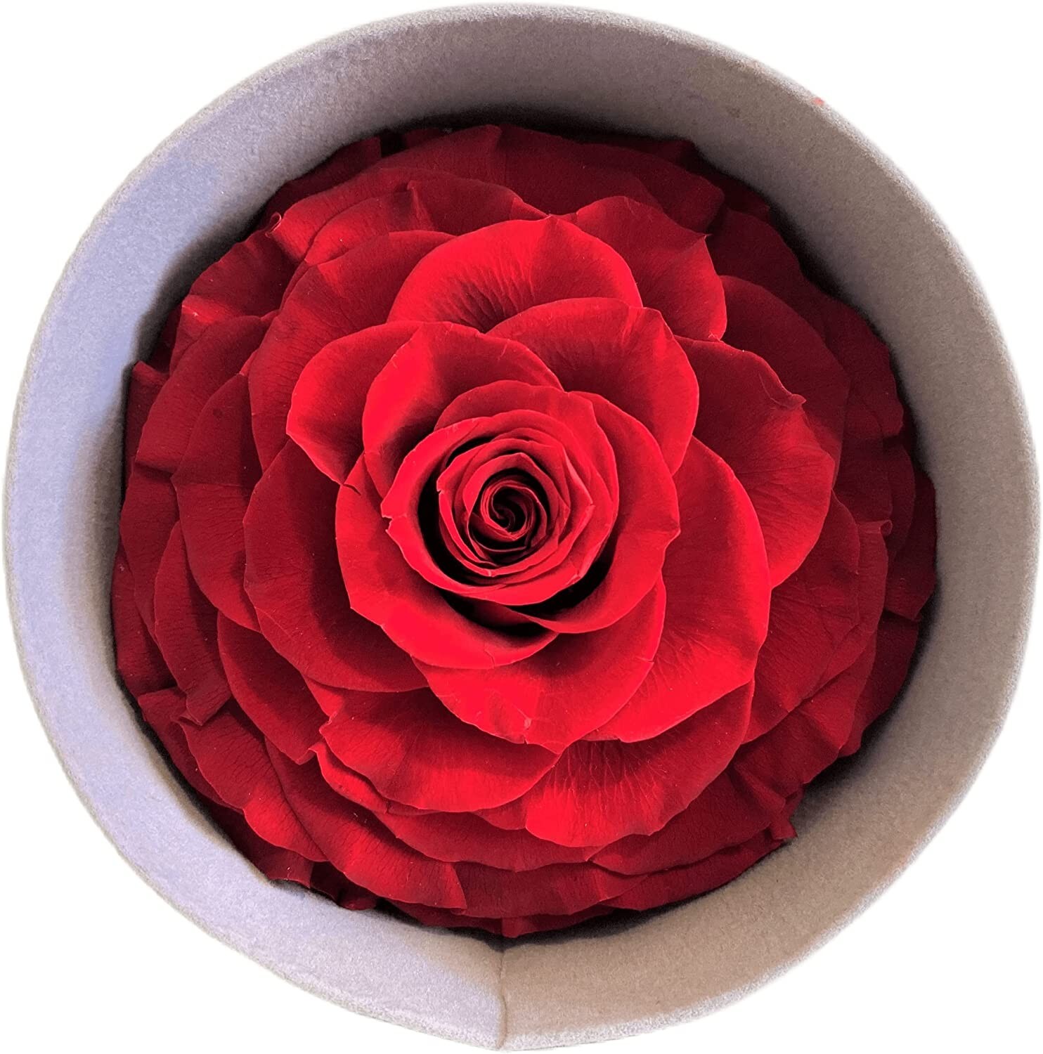Premium Preserved Rose Large Forever Roses in Leather Gift Box Real Flowers Gift