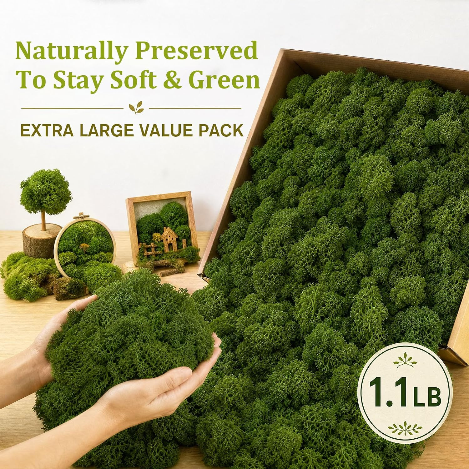 Preserved Reindeer Moss Natural Dark Green, 1.1 LB Real Moss for DIY Crafts, Mos