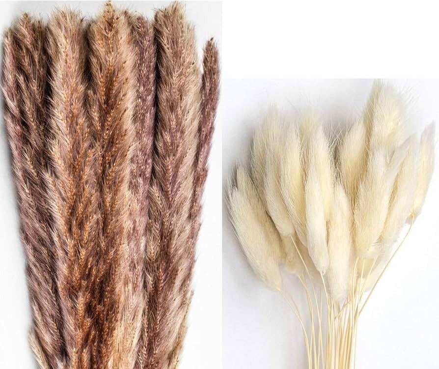 Jade Luxe dried Pampas Grass 60pcs 24″