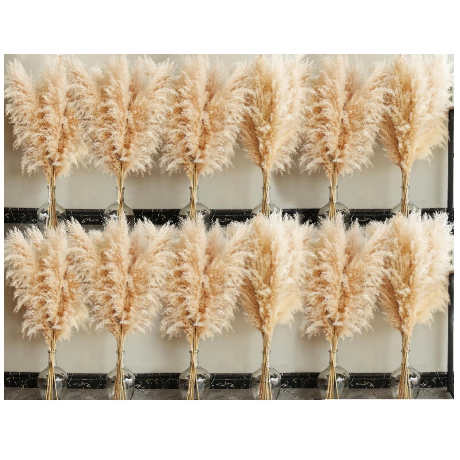 Preserved Pampas Grass Bunny Tails Decor