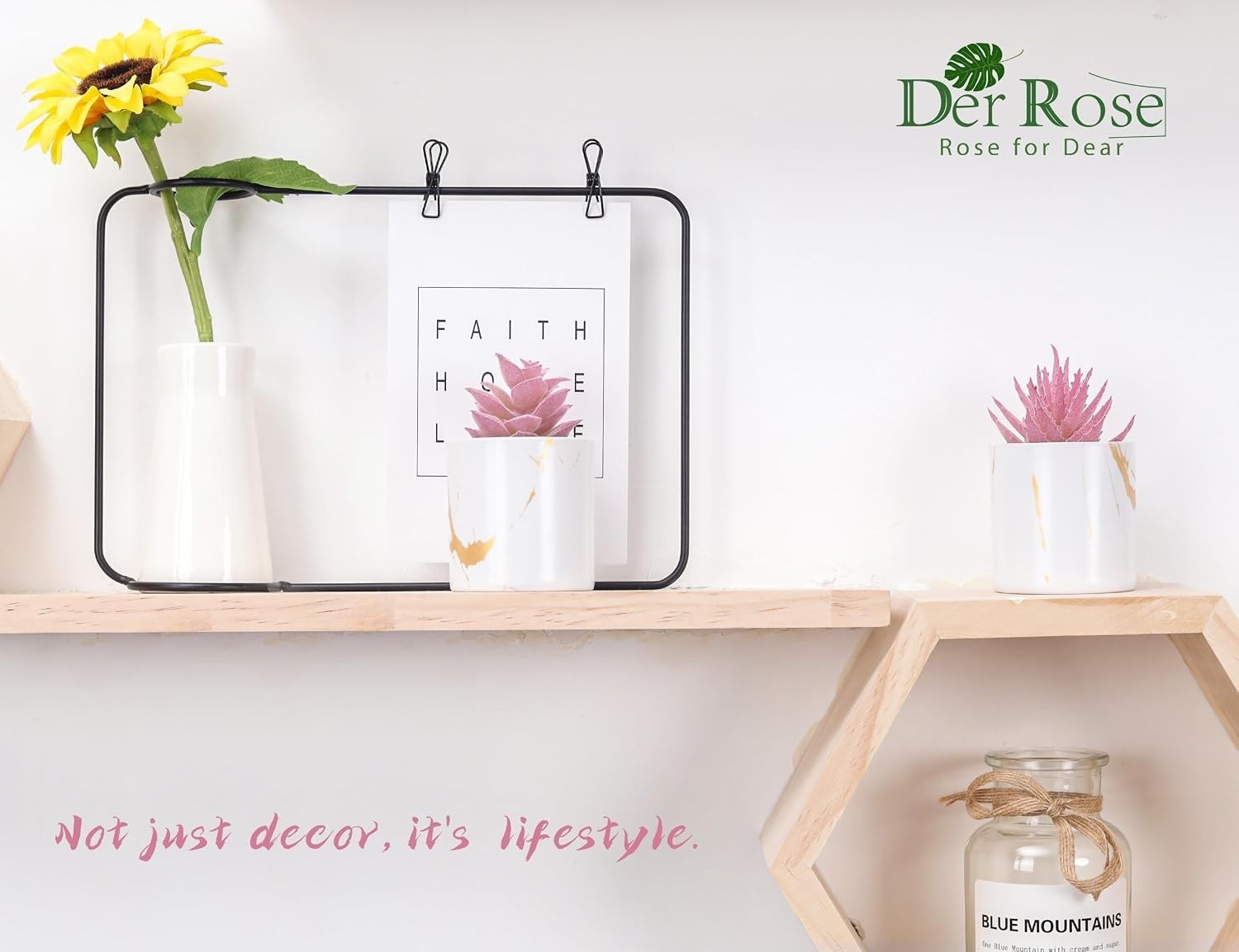 Low-Maintenance Pink Succulent Set – Perfect for Dorm and Minimalist Spaces