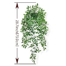 Realistic Artificial String of Pearls Plant – Faux Hanging Succulent Trailing