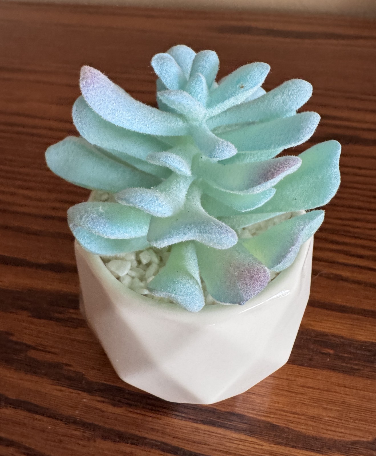 VIVERIE 4-Pack Mini Artificial Succulents ~ Blue Plants w/White Ceramic Pots NEW