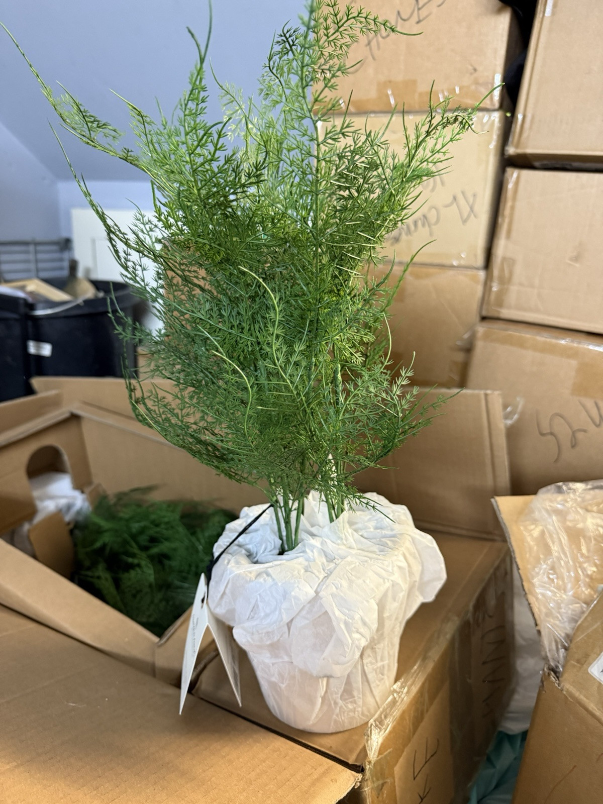 Hearth and Hand with Magnolia Artificial Faux Potted Plants Asparagus Fern