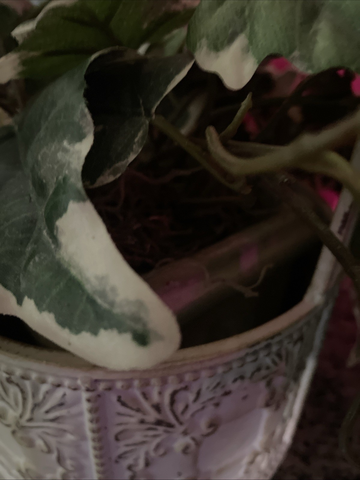 Artificial Ivy Plant In Heavy Pot, Inside Metal Basket