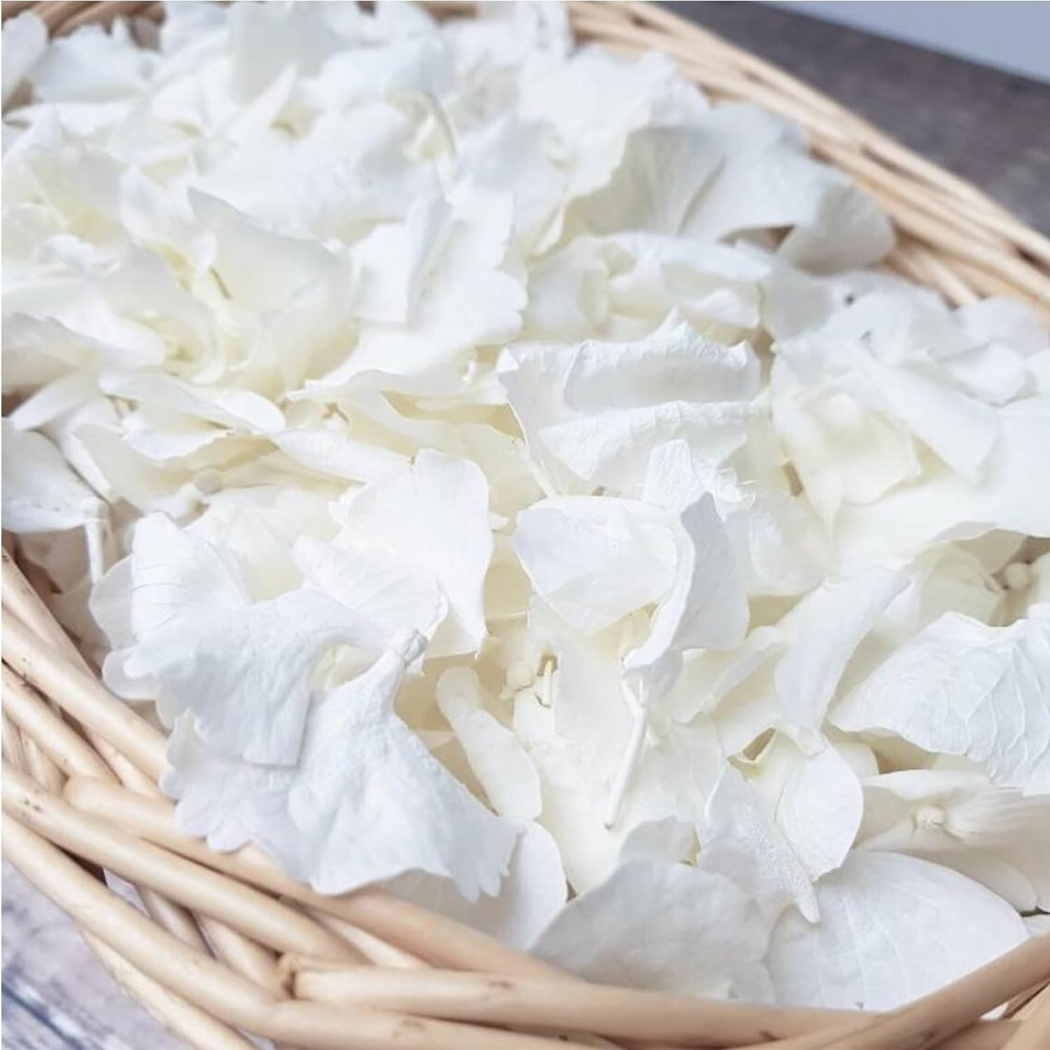 1500Pcs Real Dried Ivory White Hydrangea Flower Petals – Natural Smal Petals for