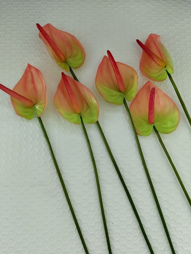 SIX MinI Anthurium stem cream/pink. Tropical stems Hawaiian flowers .