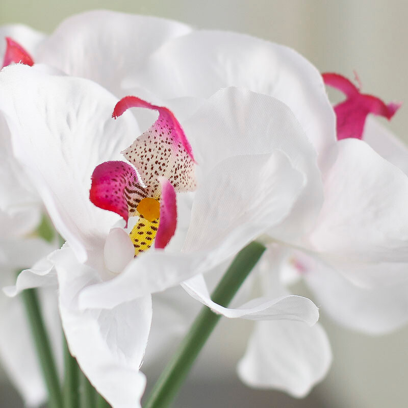 Package of 2 White with Fuchsia Center Artificial Orchid 10-1/2″ Bundles