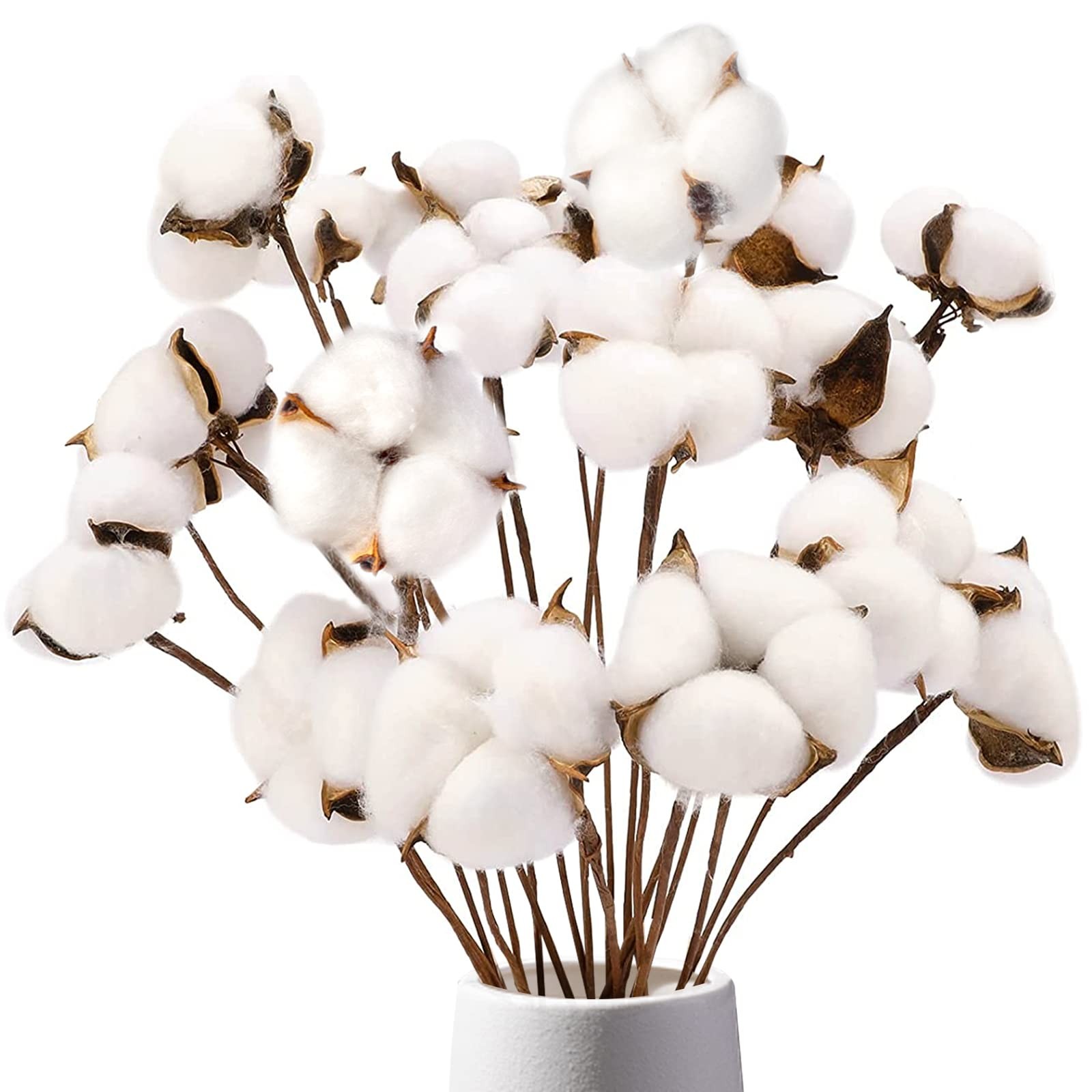 DomeStar Cotton Stems 8 Packs with 15 Bolls, Natural Dried Flowers White