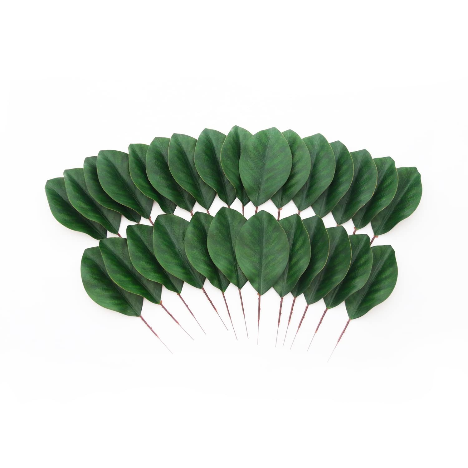 Artificial Green Magnolia Leaves Pack of 40 for Wedding Decor, Home Decor, In…