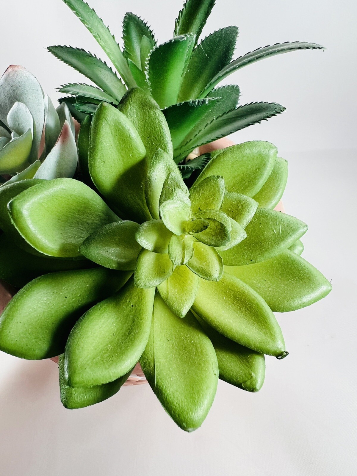 Artificial Succulents in Clay Embossed Pot, 6.5″ tall