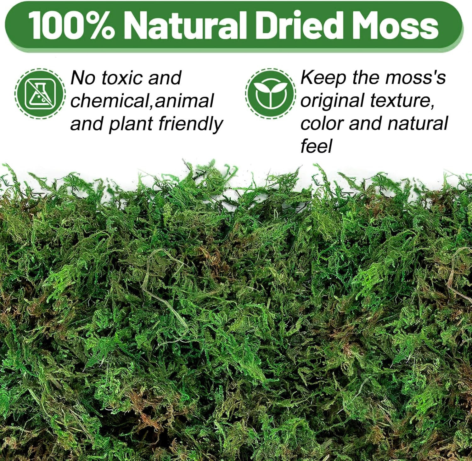 35Oz Jumbo Pack Natural Green Moss for Plants Indoor – Bulk Dried Forest Real Mo
