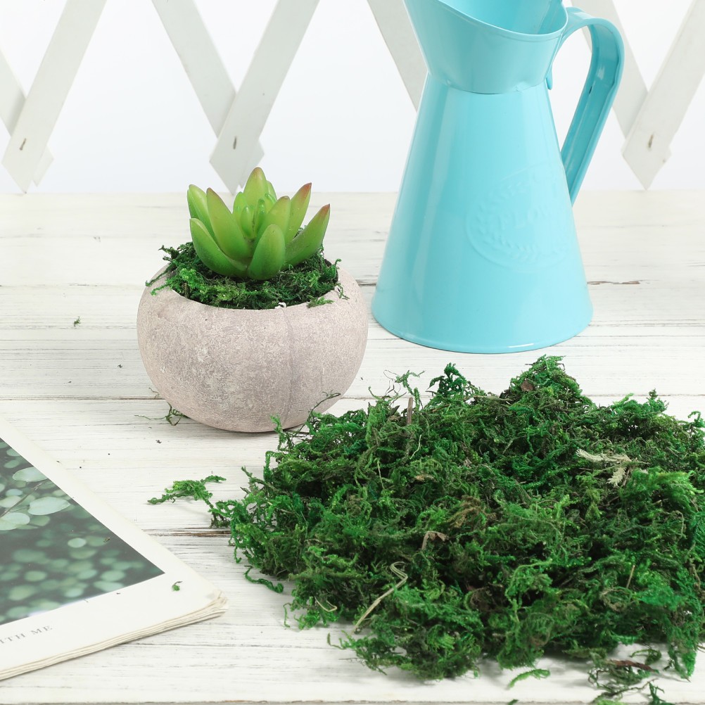 Green Moss Plant Crafts Decorative for Bonsai Artificial Crafting