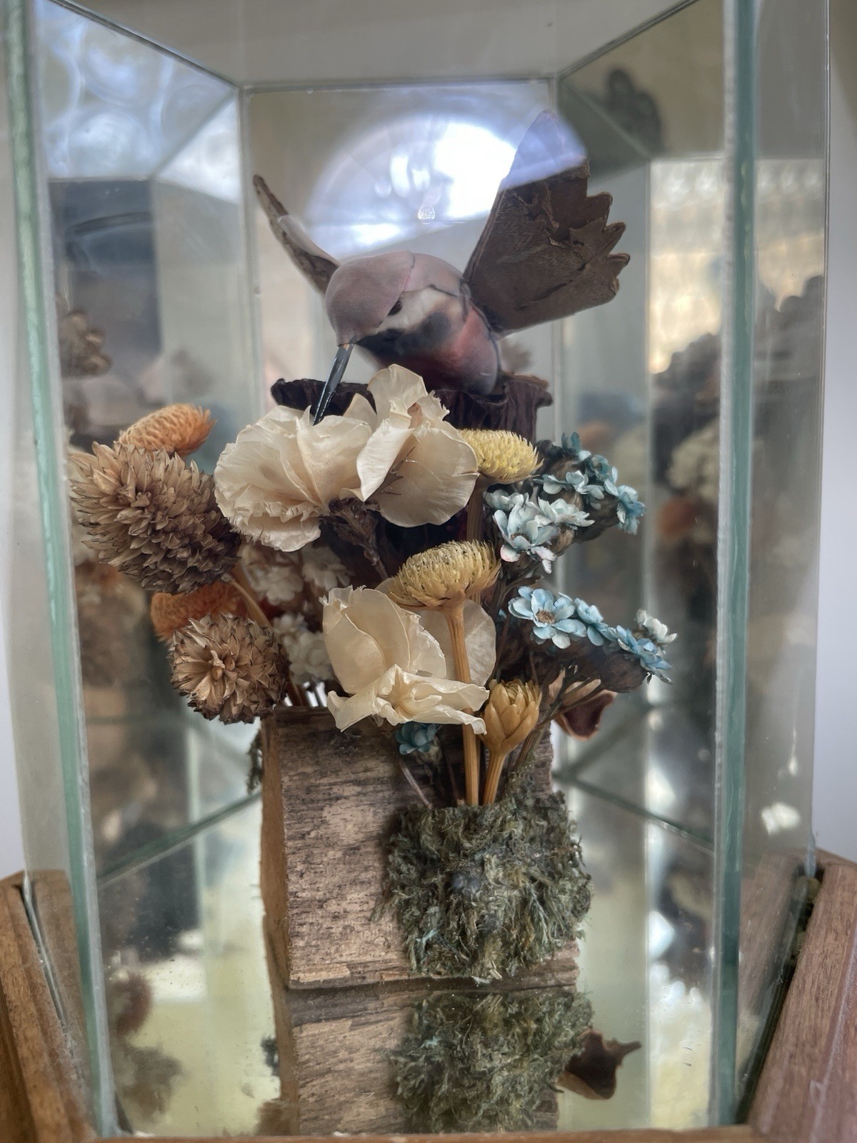Vintage Faux Hummingbird Hexagonal Glass Display Case Dried Flower Diorama 1970s