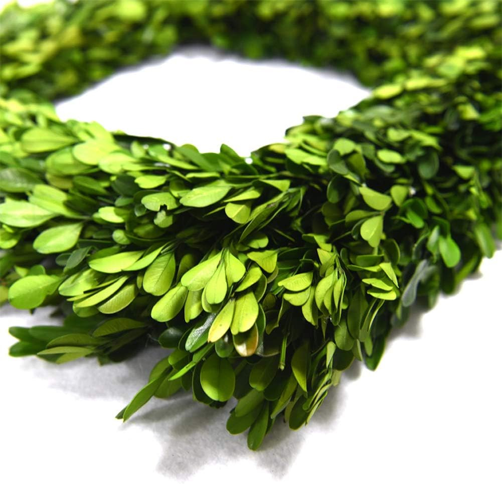 Preserved Boxwood Wreath, Christmas Wreath Wedding Home Decoration, Farmhouse St
