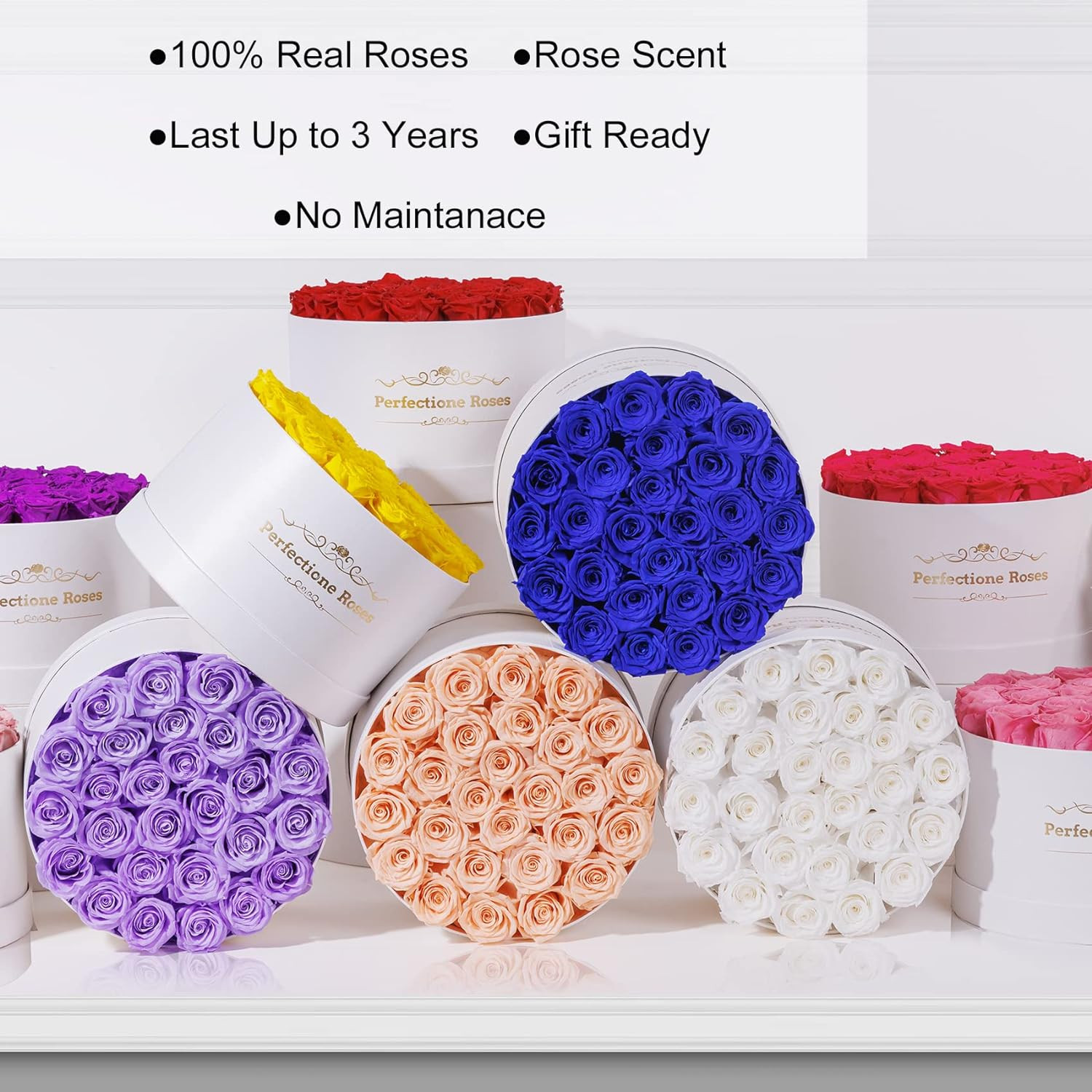 Forever Real Roses in a Box, Preserved Rose That Last up to 3 Years, Flowers for