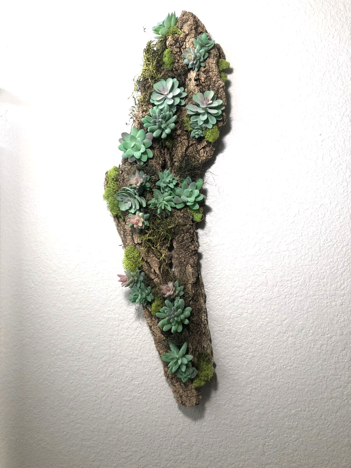 Artificial Succulent Air Plant Wall Art Home Office Mounted on Real Wood Bark