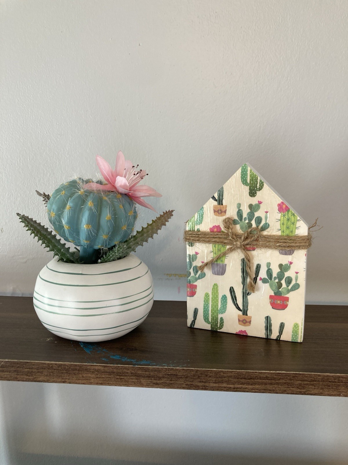 Succulent Tabletop Decor