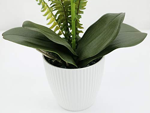 Olrla White Orchid Artificial Flower in Pot, Faux Phaleanopsis Orchid Bonsia for