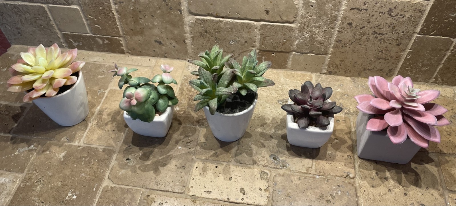 Lot of 5 artificial succulents in small white ceramic pots