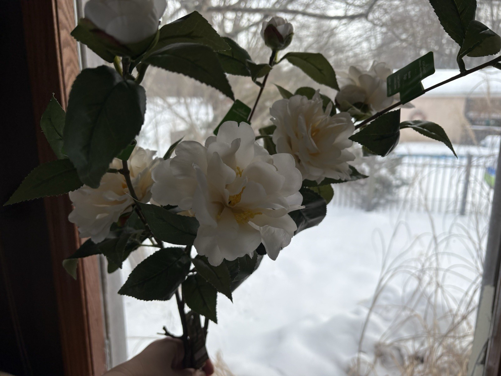 Real Touch White Camellia Long Stem Silk Artificial Flowers-Ashland New
