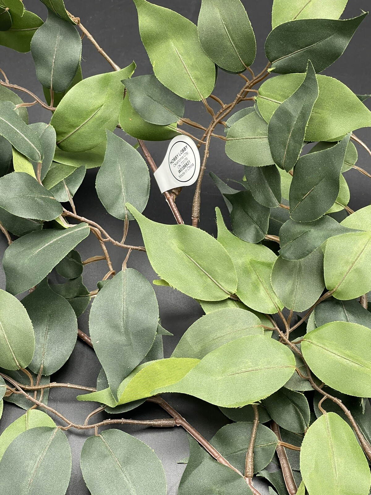 Ficus Branch Floral Stem Hobby Lobby 26″ x 15″ 738690