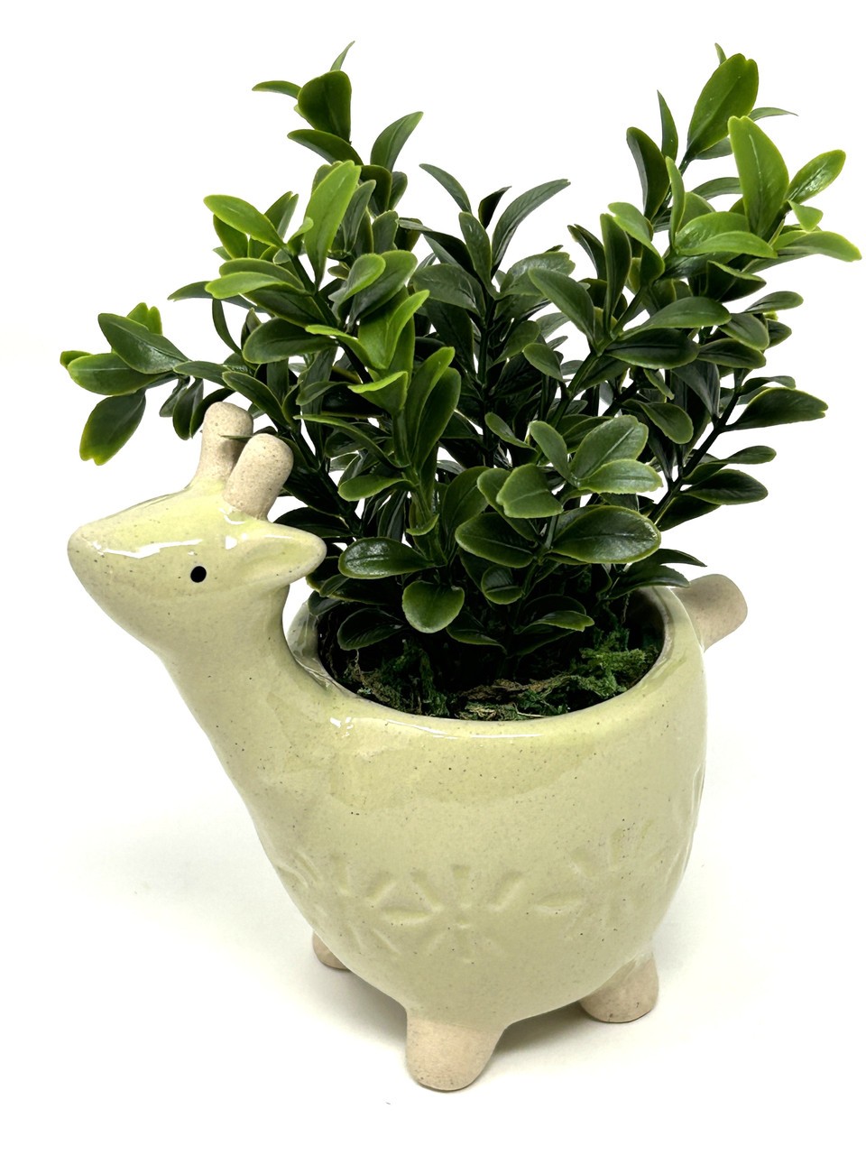 Mini 6″ Artificial Sage Boxwood plastic plant potted in Ceramic DEER Giraffe Pot