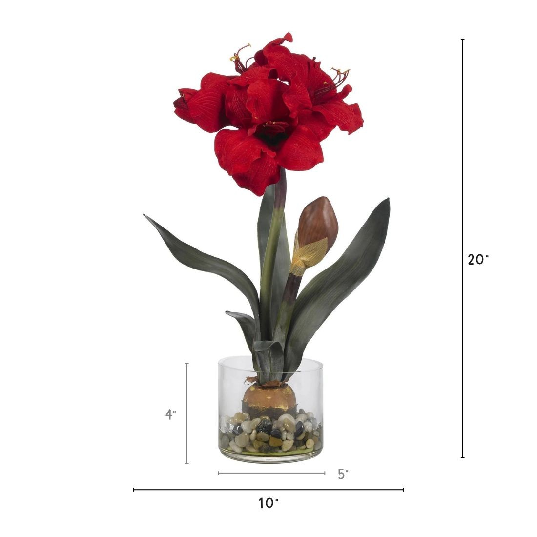 20″ Amaryllis w/Vase