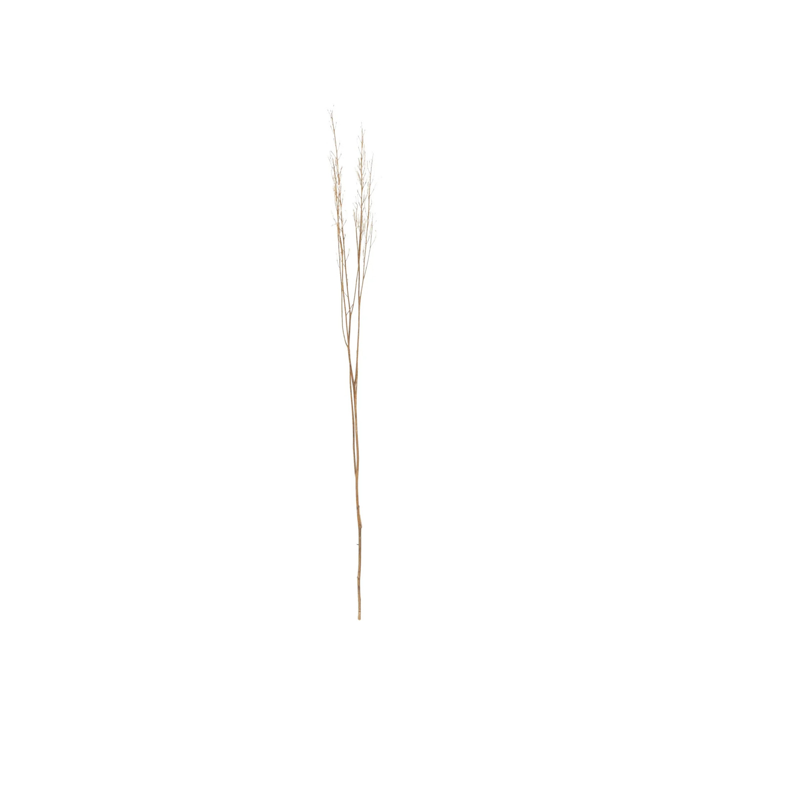 42″ Tall Sticks Dried Plant Natural Foliage Bouquet with Grass,