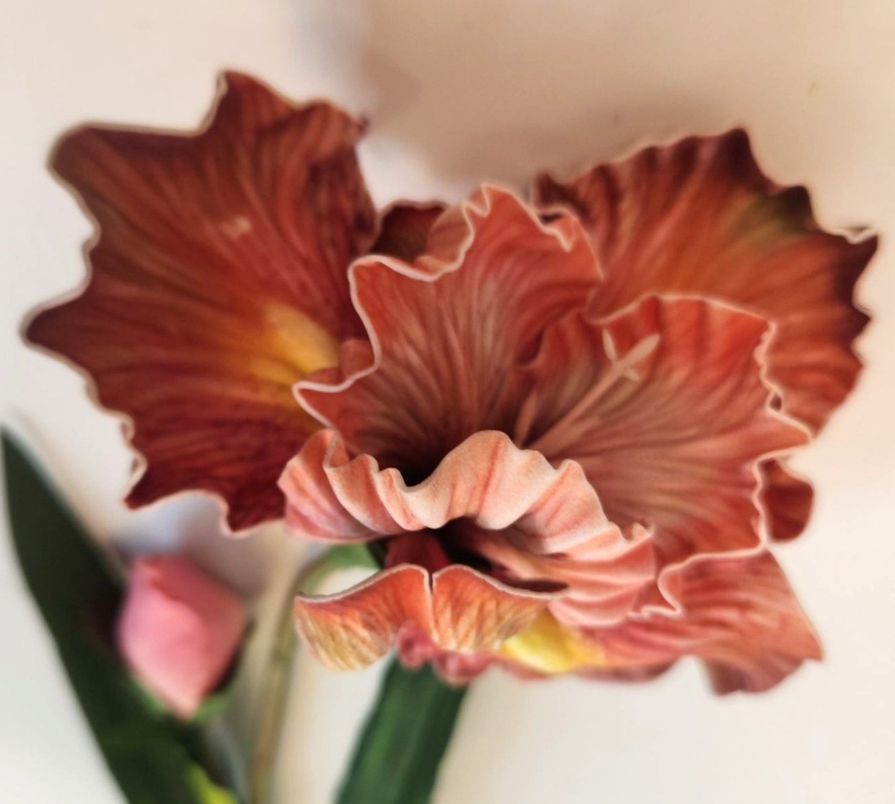 Luxury Artificial Iris Flower 33 Inch Tall Hand Painted Look Terracotta Pink Fau