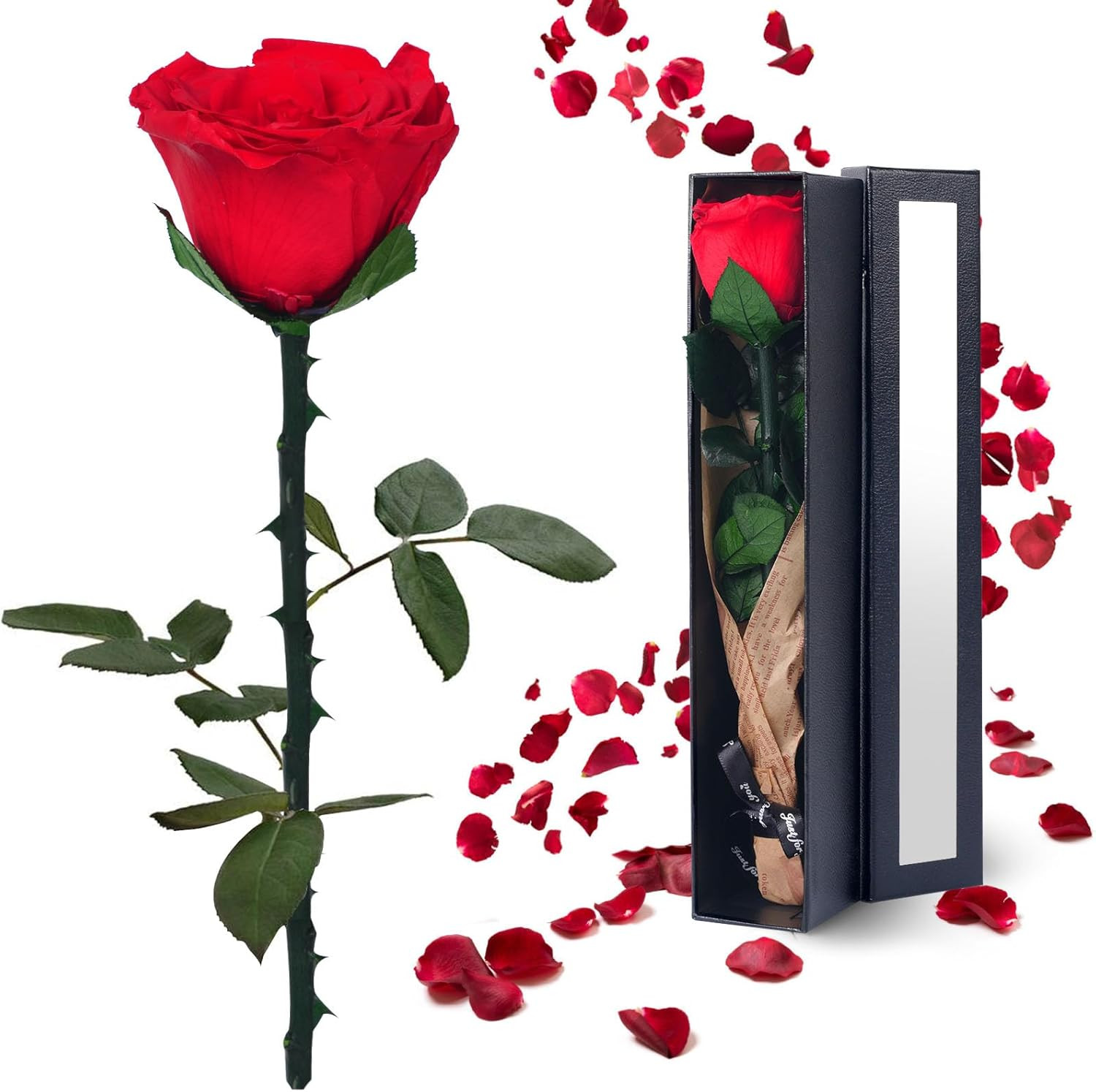 Preserved Red Rose Gift for Women Mom Wife Grandma Birthday Anniversary