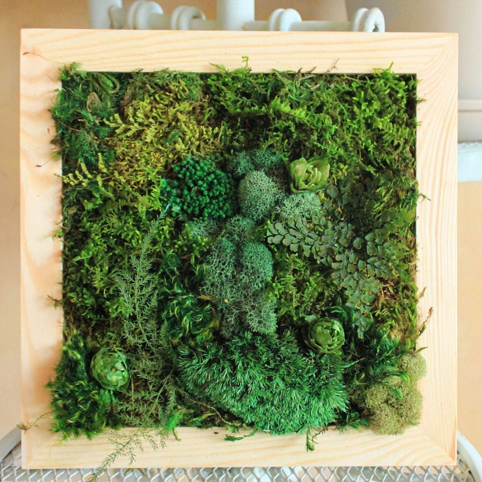 7oz/200g Artificial Moss for Indoor Plants, Faux Moss Decorative Greenery, Fa…