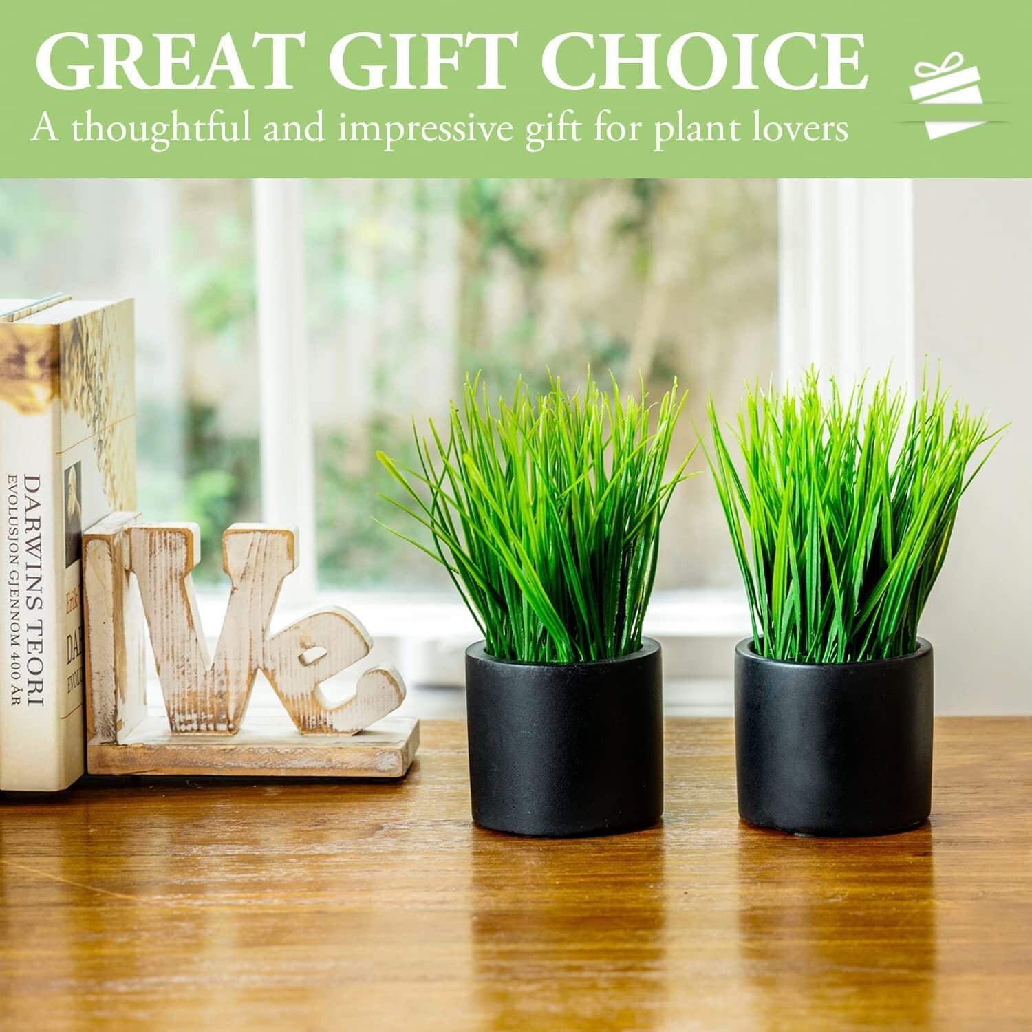 Artificial Grass Fake Plant in Modern Round Black Cement Pots, Pack of 2