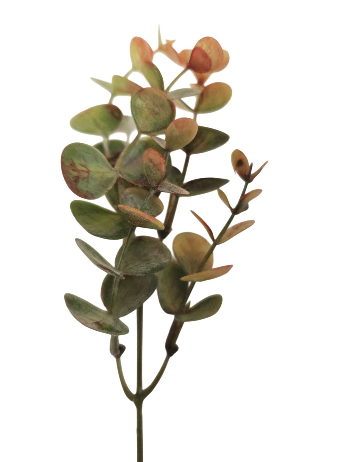Artificial Eucalyptus Stems Faux Eucalyptus Bundle Fall Greenery Autumn Eucalypt