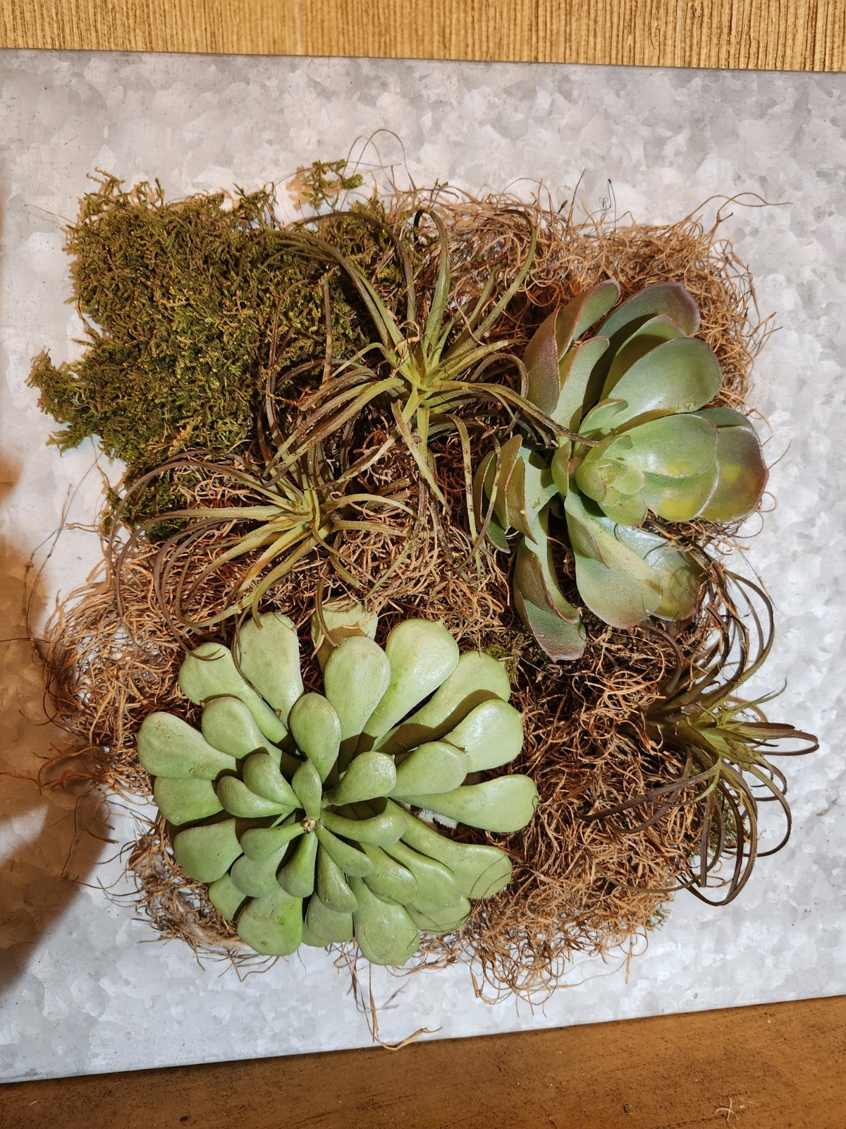Faux Succulent Plants in Rustic Metal Frame Wall Decor, 14″ X 14″