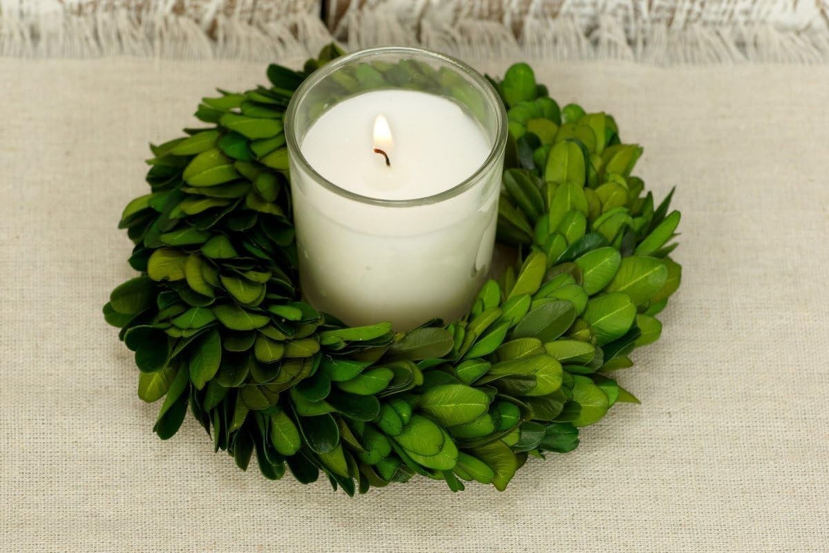 Preserved Boxwood Wreath Indoor Organic Greenery AccentSmall 6