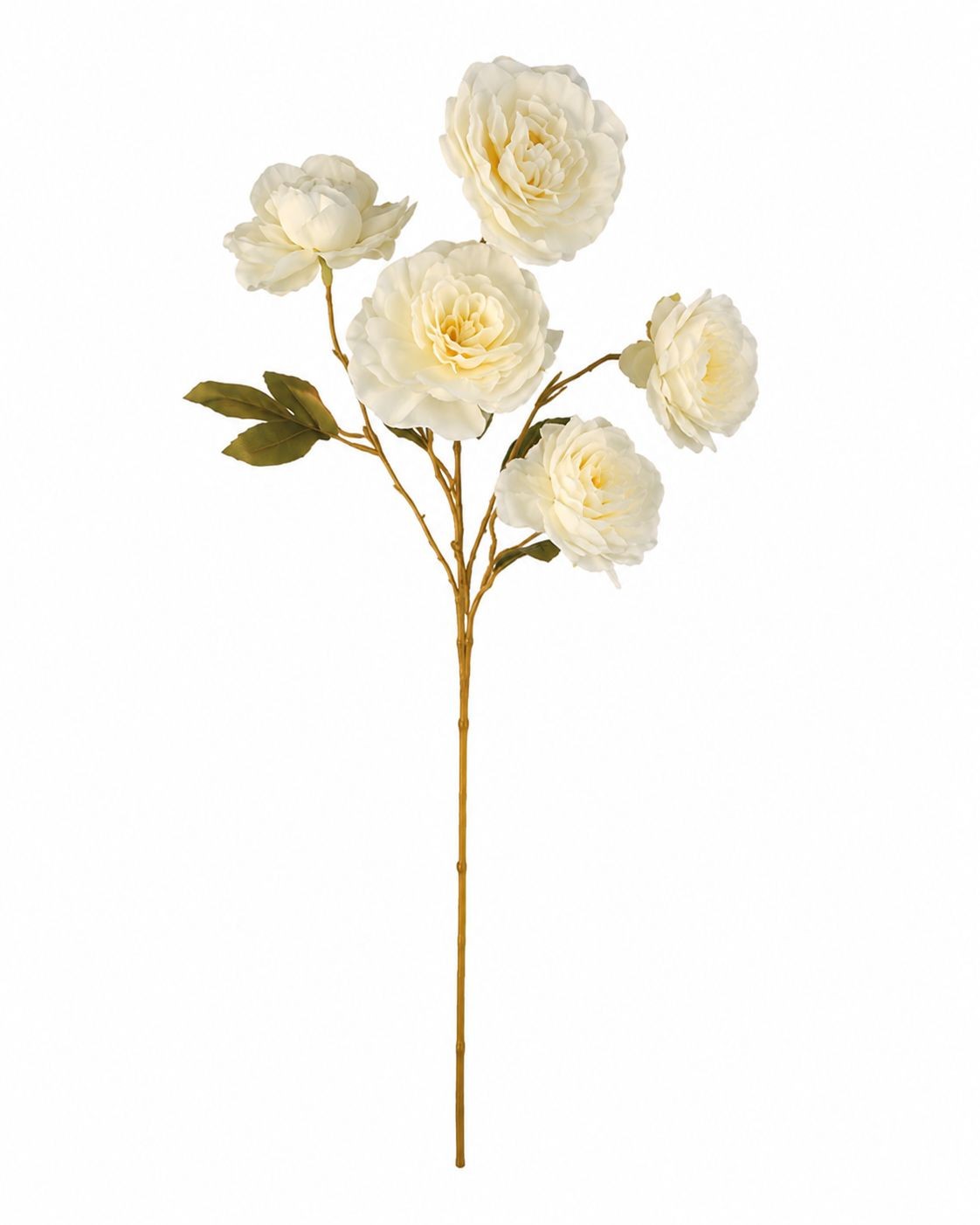 Cream Ranunculus Stems, Faux Ranunculus Flowers, Artificial Flowers, Ivory Flora