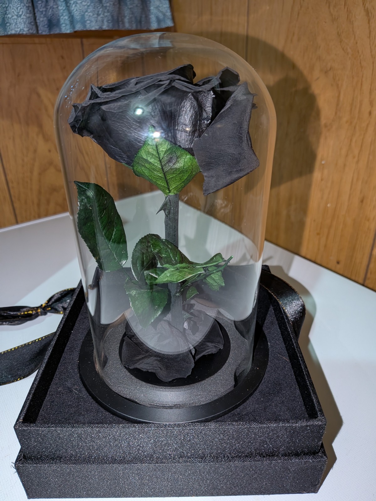 Perfectione Roses Black Rose In Glass Dome Open Box Never Used