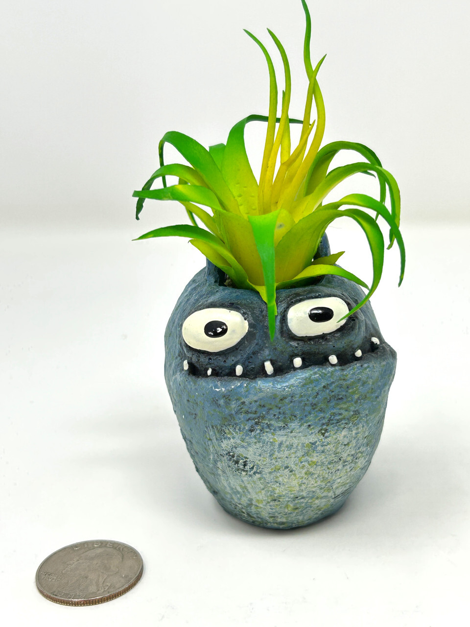 4.5 in. Potted Blue Monster MURPHY Blob House Mini pot WITH faux Harrisii Air pl