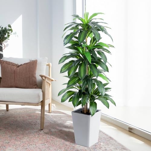 Artificial Dracaena Tree with White Tall Planter, 5ft Tall Dracaena Plant