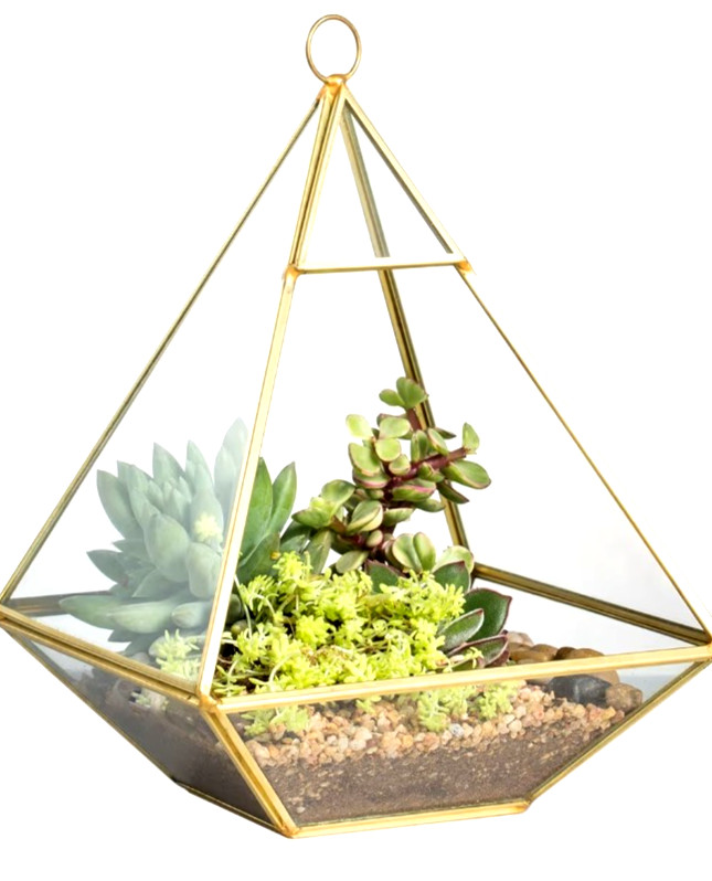 Geometric Glass Terrarium for Artificial Plants, Figurines or Home Decor.