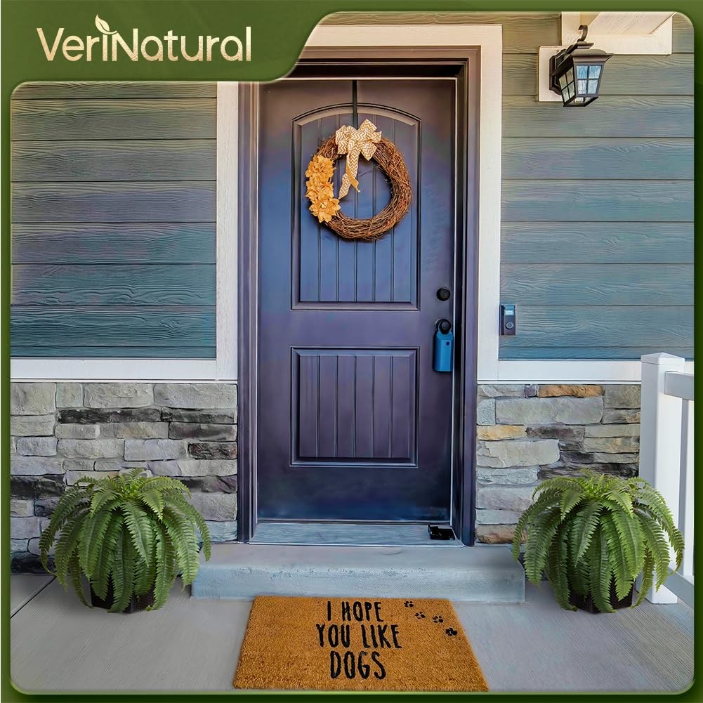 VeriNatural 48″ Boston Ferns Artificial Outdoor Plants – 33 Fronds UV Resista…