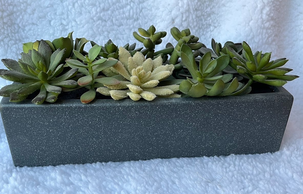 CRATE & BARREL ~ FAUX SUCCULENT ARRANGEMENT IN GRAY CERAMIC PLANTER ~ 12″x5″x3″
