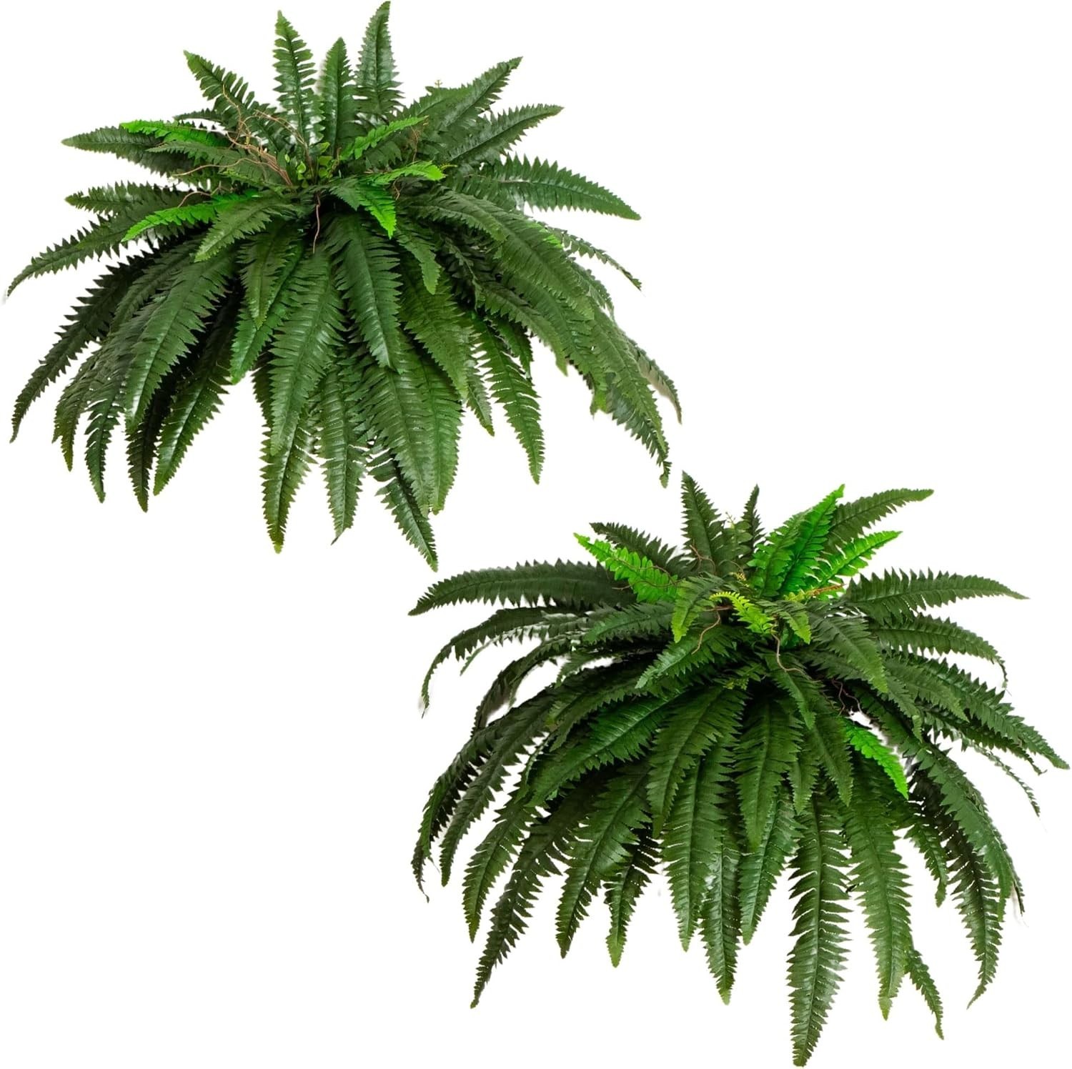 Realistic 48″ Artificial Ferns Set | Home and Office Decor