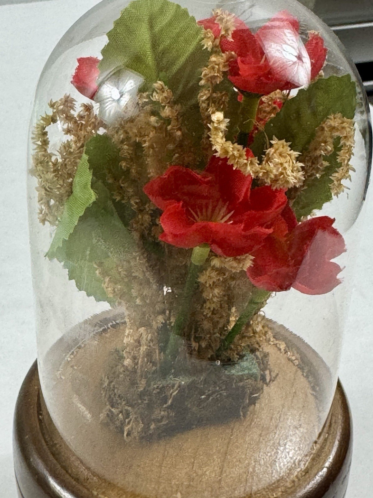 Artificial Red Rose Flower Arrangement in Glass Dome with Wood Base, 6 in Tall