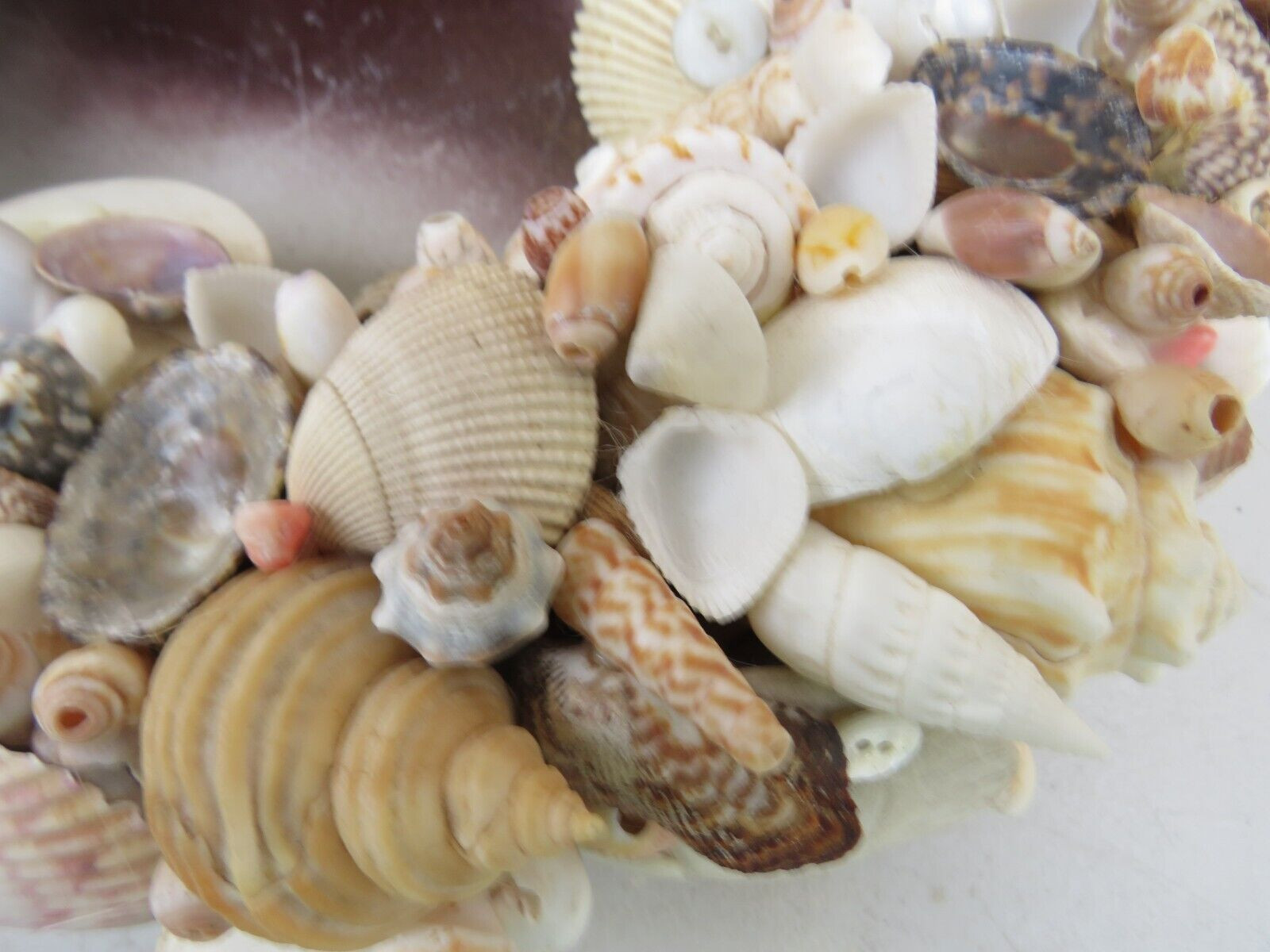 LARGE NATURAL HANDCRAFTED SEASHELL WREATH 14″ BEACH SEASHORE COASTAL DECOR