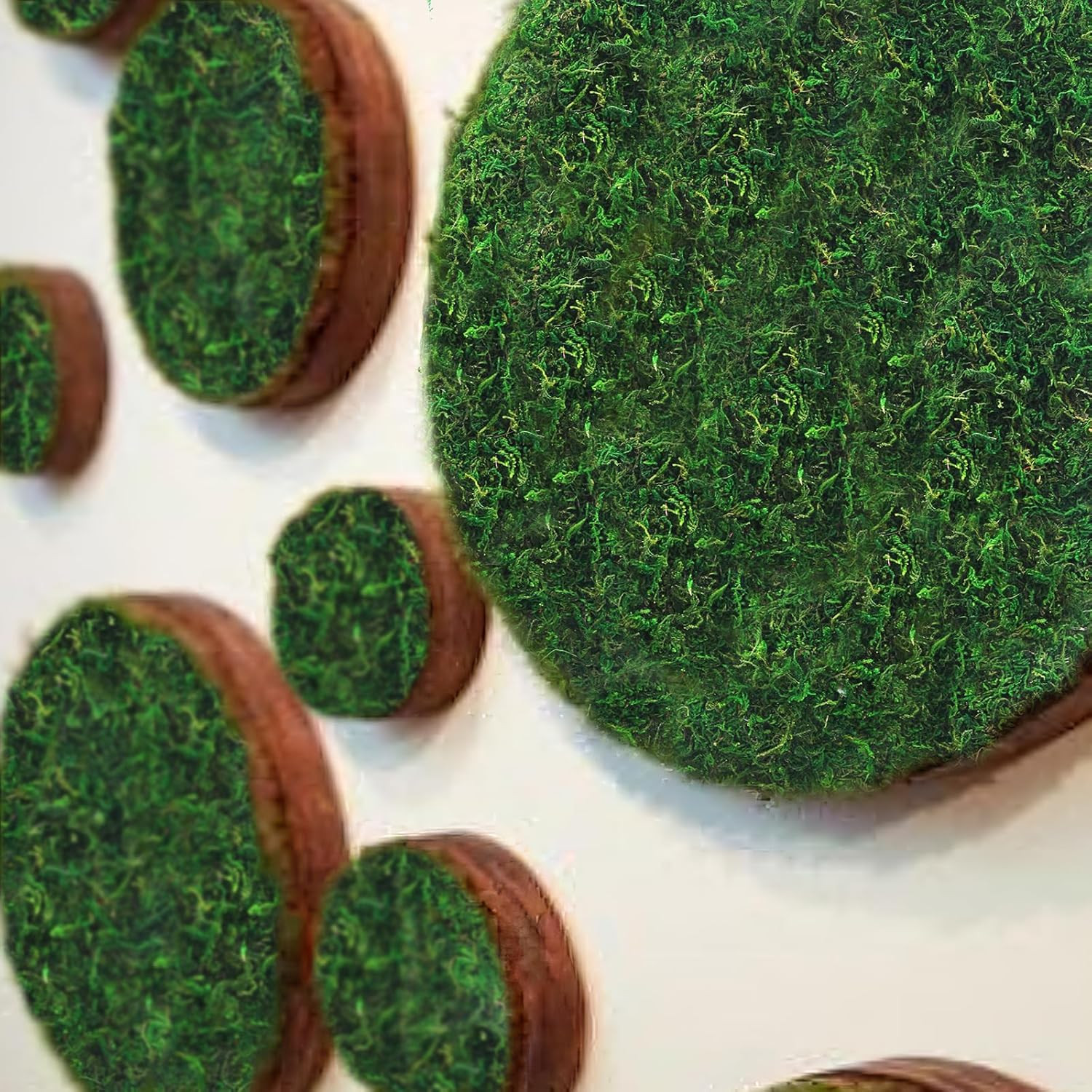 2 Pcs Moss Table Runner Dried Moss for Crafts Green Moss Roll for Fairy Gardens